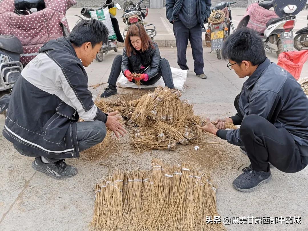 濕黃芩價格最新價格,濕黃芩價格最新動態，市場分析與趨勢預測