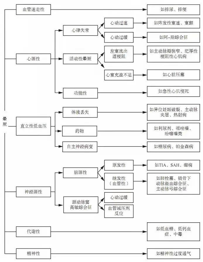 7777788888王中王中特,探索數字背后的秘密，王中王中特與數字世界中的奧秘