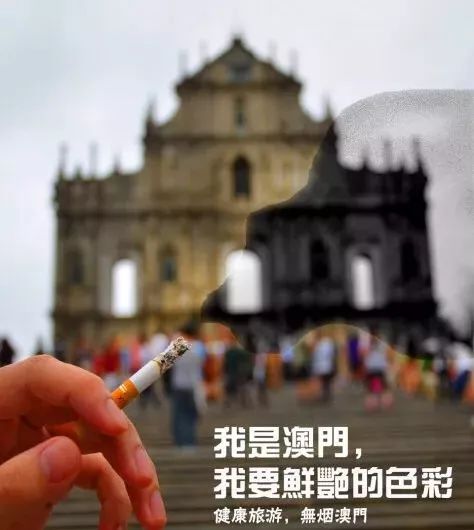 澳門今晚上開的特馬,澳門今晚上開的特馬，理性看待與避免違法犯罪風險