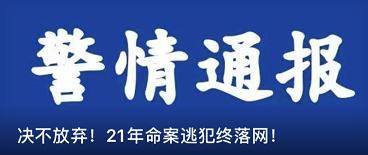 新澳門資料免費大全正版資料下載,警惕虛假信息陷阱，關于新澳門資料免費大全正版資料的真相