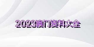 2024澳門資料大全正版資料,澳門資料大全正版資料與犯罪預防的重要性