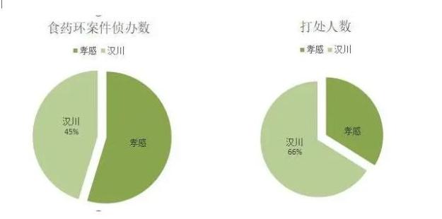 澳門六6合開獎大全,澳門六6合開獎大全，揭露違法犯罪問題