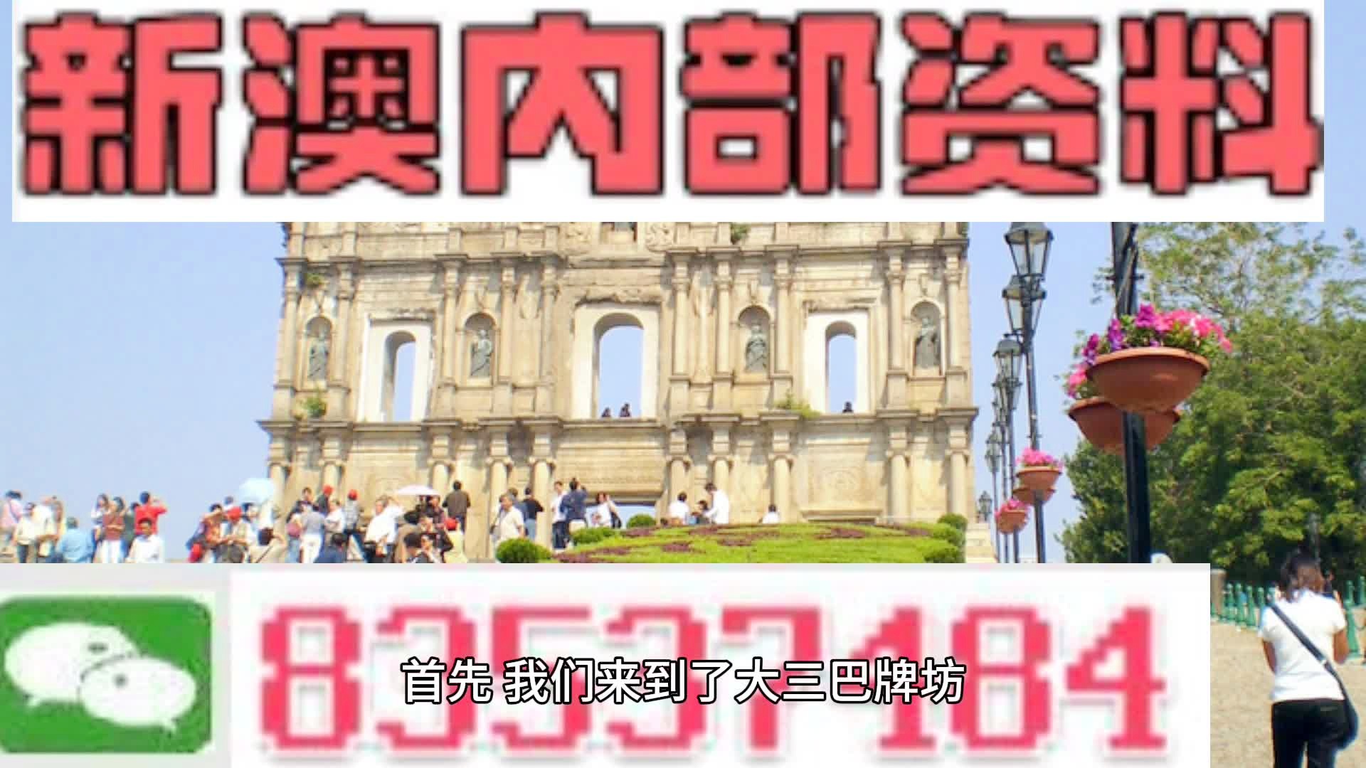 新澳門2024免費瓷料大全,關于新澳門2024免費瓷料大全的探討——警惕違法犯罪問題