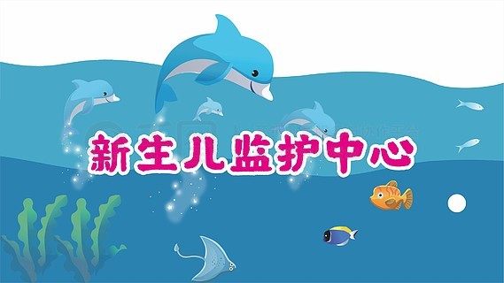 小魚兒玄機二站資料提供資料,小魚兒玄機二站資料提供解析與洞察