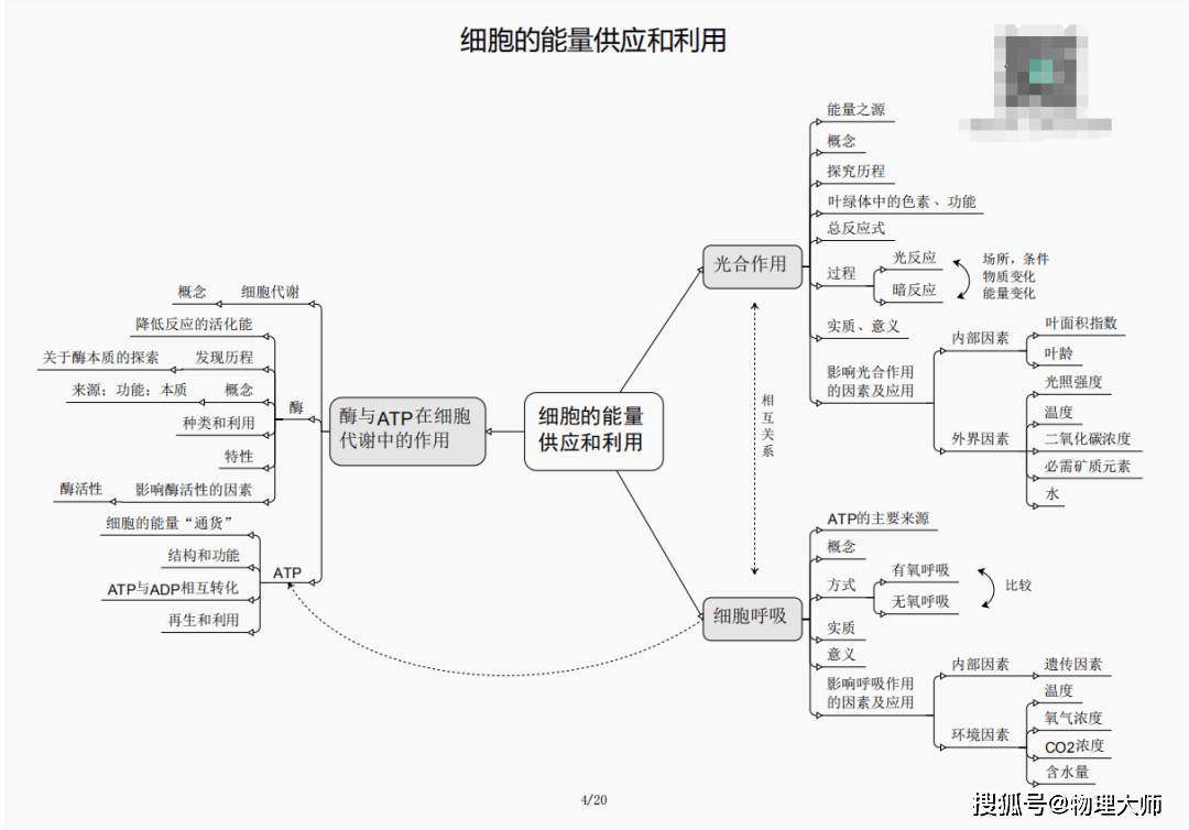 白小姐三肖三期必出一期開獎,白小姐三肖三期必出一期開獎的秘密與探討