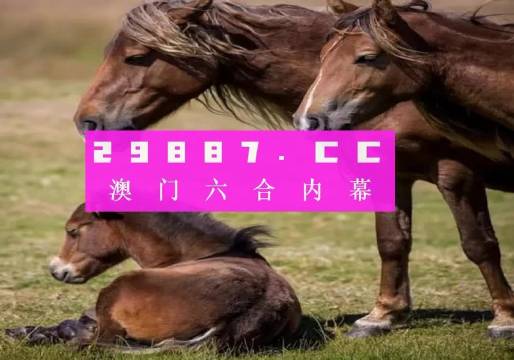 澳門六今晚開什么特馬,澳門六今晚開什么特馬，探索與解析